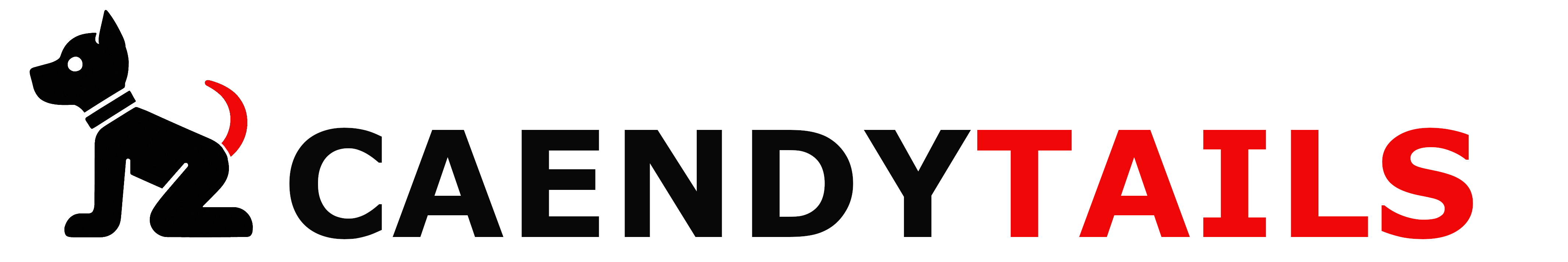 CAENDYTAILS-Logo