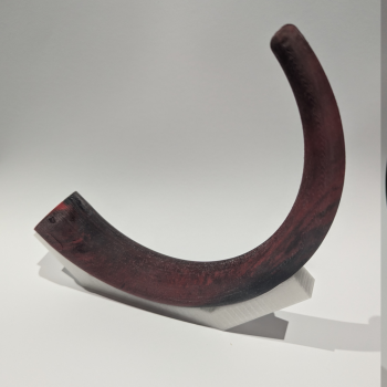 Preview: CAENDY-Tail - für CAENDY-Base